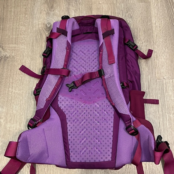 Patagonia Purple/ Pink Women\'s Backpack - Versatile Everyday Bag main image 4